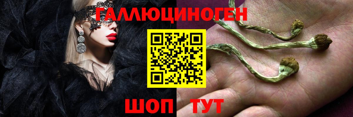Отрадное  Галлюциногенные грибы прущие грибы  Вход с VPN  Галлюциногенные грибы мицелий 