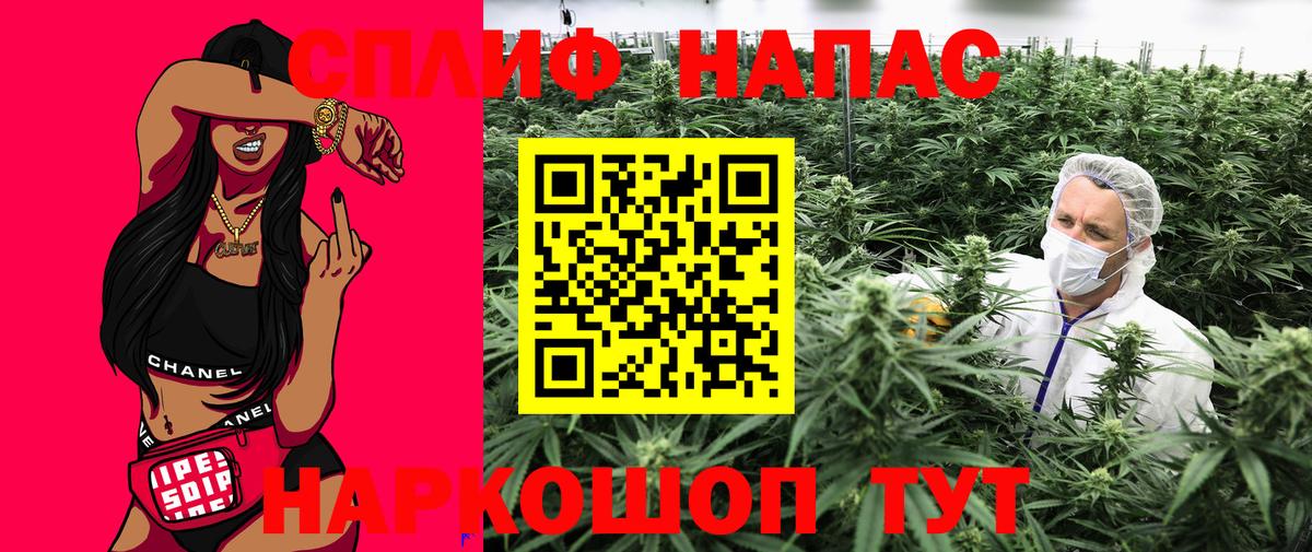 Конопля марихуана  Вход с VPN  Шишки марихуана конопля  Отрадное  Марихуана гибрид 